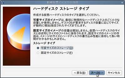 06mew_disk02.jpg