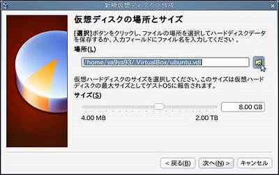 06mew_disk03.jpg