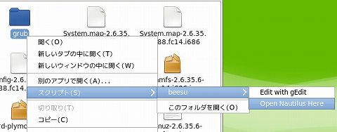 fedora_beesu_open.jpg