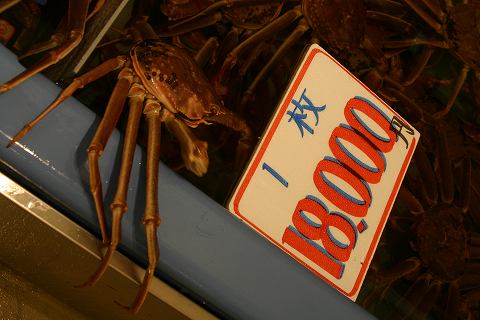kani101211.jpg